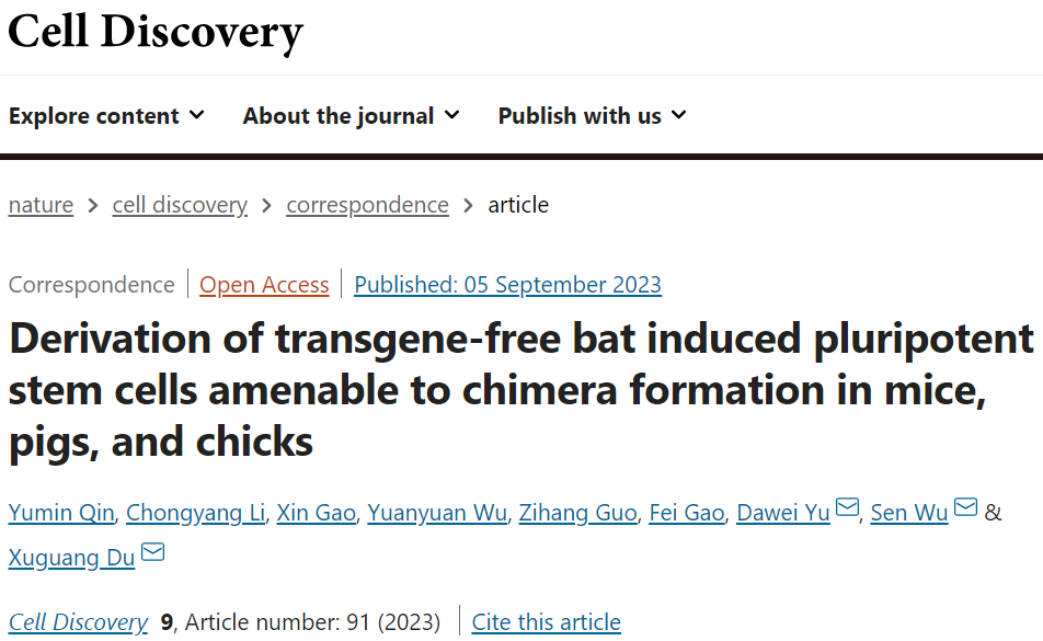 CELL DISCOV丨杜旭光/吳森等開發無轉基因蝙蝠誘導的多能干細胞，適合小鼠、豬和小雞形成嵌合體(圖1)