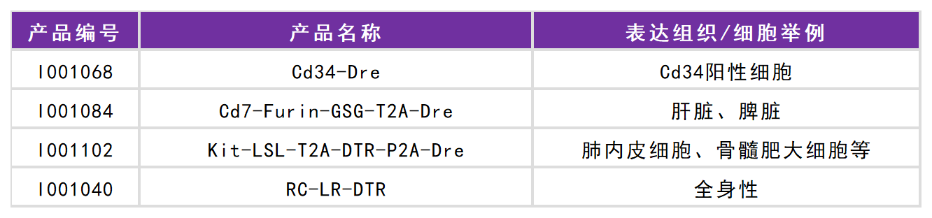 Cre工具鼠列表（精選）(圖5)