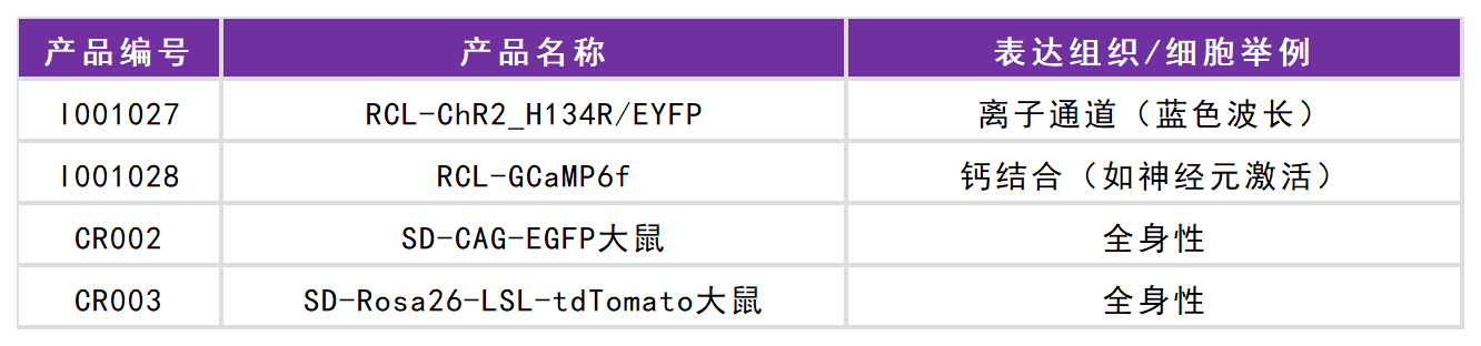 賽業生物工具鼠列表